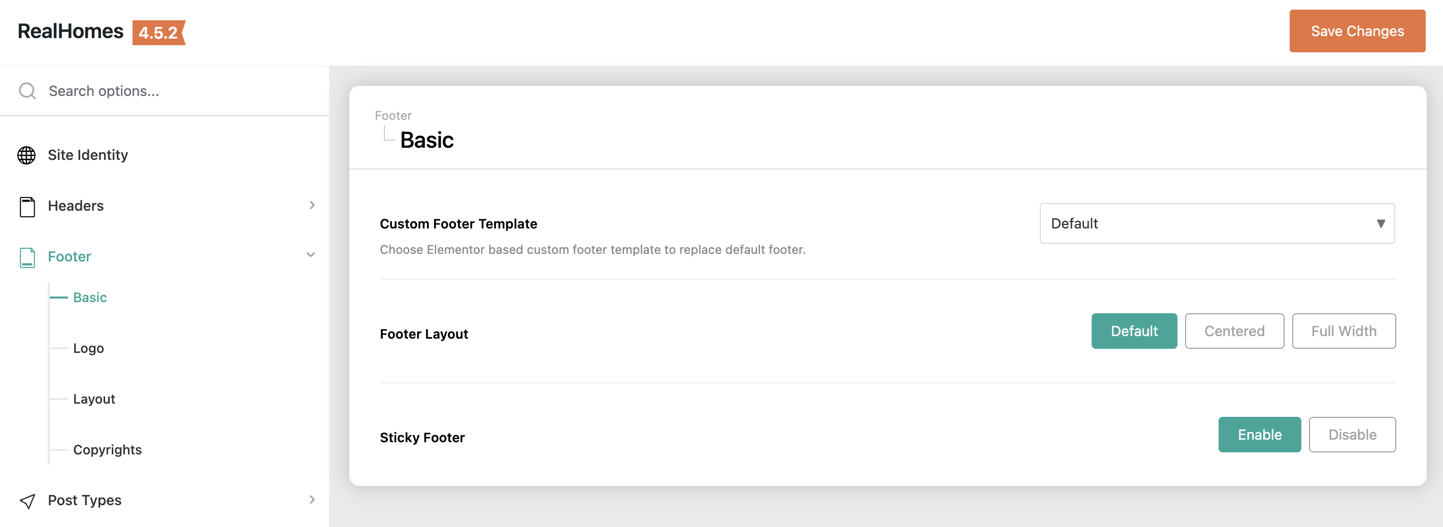 RealHomes Settings - Footer Basics