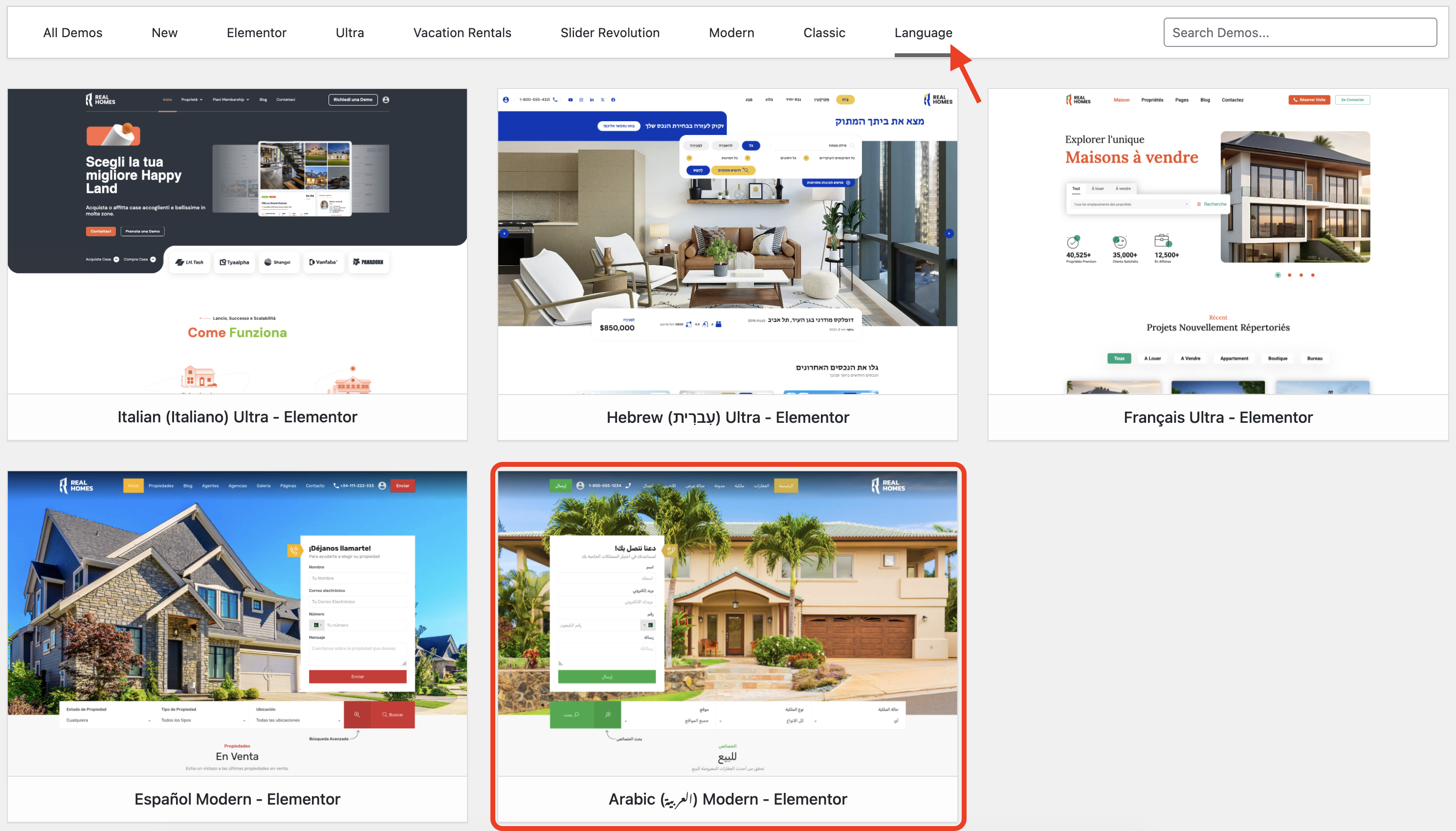 Arabic Demo Import Process