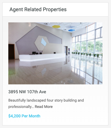RealHomes Agent Related Properties Widget Classic