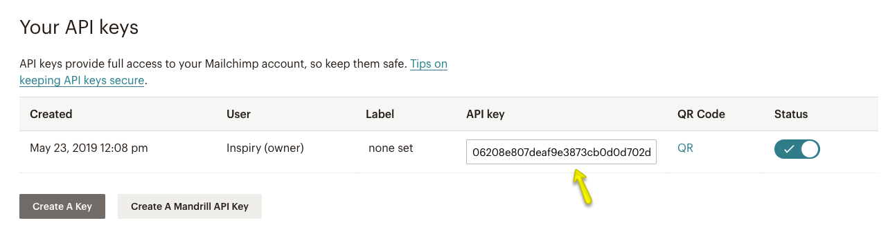 Copy Mailchimp API Key